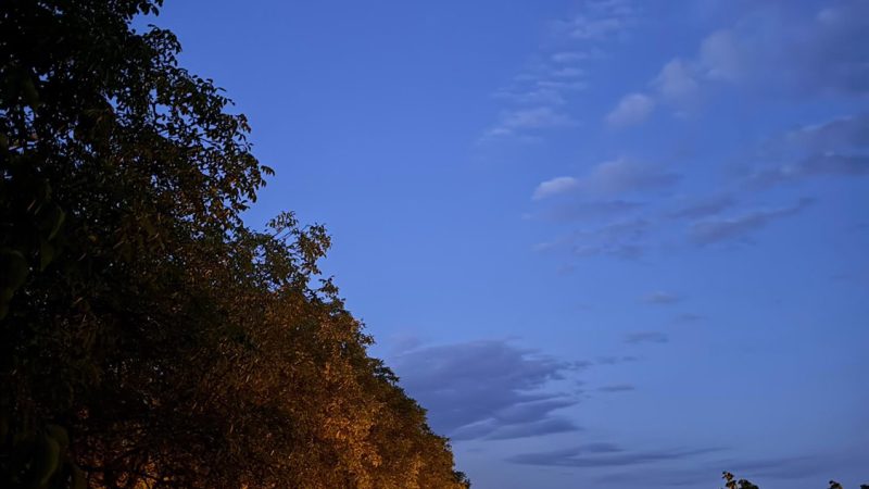 IMG-20260823-WA0061