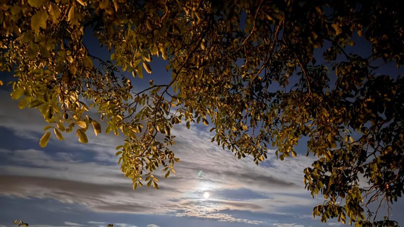IMG-20260823-WA0062